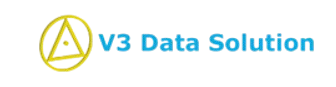 V3 Logo